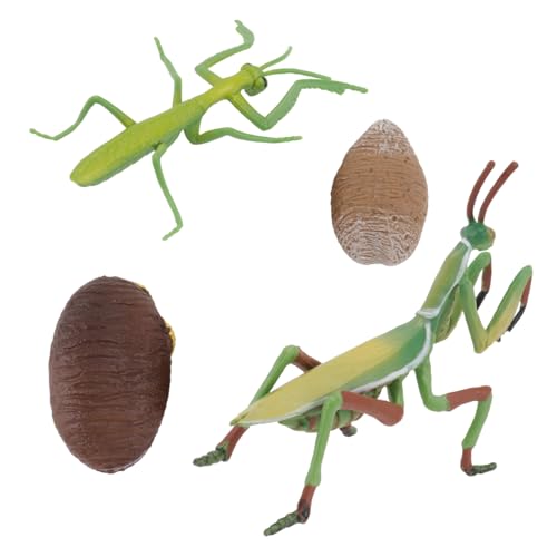ORFOFE Realistisches Gottesanbeterin modellspielzeug Farbige Insektenfigur Pädagogisch für Leicht Tragbar Langlebig und Detailgetreu für Hand Auge koordination und Farberkennung ORFOFE Realistisches Gottesanbeterin modellspielzeug Farbige Insektenfigur Pädagogisch für Leicht Tragbar Langlebig und Detailgetreu für Hand Auge koordination und Farberkennung von ORFOFE