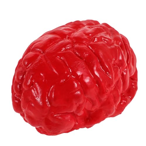 ORFOFE Realistisches Halloween Fake Brain Dekorationselement Leicht und Tragbar Wiederverwendbar für Halloween Partys Horrorthemen und Gruselige Raumdekorationen Kompakt und Einfach zu ORFOFE Realistisches Halloween Fake Brain Dekorationselement Leicht und Tragbar Wiederverwendbar für Halloween Partys Horrorthemen und Gruselige Raumdekorationen Kompakt und Einfach zu von ORFOFE