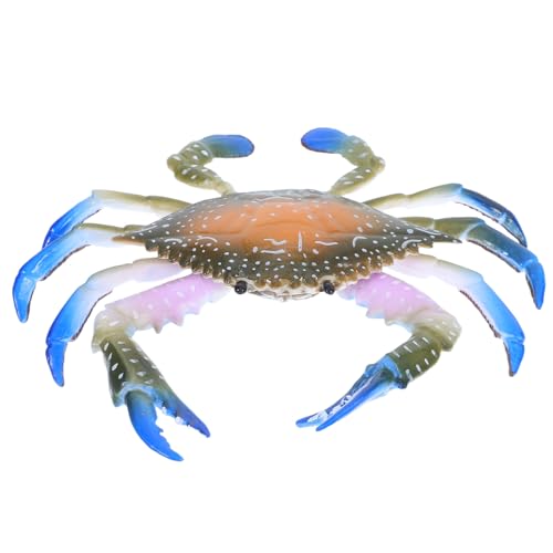 ORFOFE Realistisches Krabbenmodell aus Kunststoff Bunte Meereslebewesen Figur Kindgerechtes Lernspielzeug Dekoratives Meeres Bastelobjekt für Wohnraumgestaltung von ORFOFE