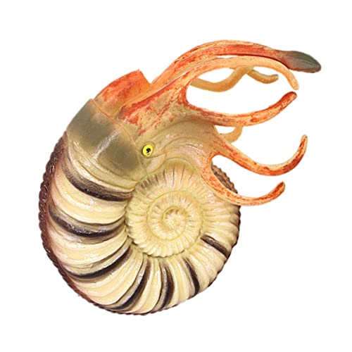 ORFOFE Realistisches Nautilus Modell aus Leichtem Detailgetreue Meeresbewohner Figur als Aquarium Dekoration und Pädagogisches für Kreativität und Farberkennung von ORFOFE