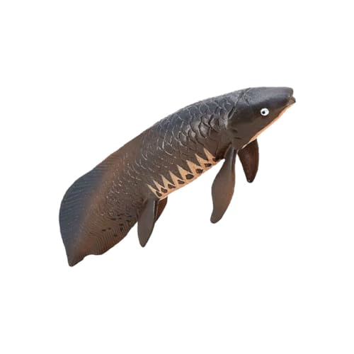ORFOFE Realistisches Pirarucu Modell aus Solidem Kunststoff Detailgetreues Meeres Tier für Pädagogisches Fischspielzeug Dekoratives Aquarium Accessoire für Zuhause und Büro ORFOFE Realistisches Pirarucu Modell aus Solidem Kunststoff Detailgetreues Meeres Tier für Pädagogisches Fischspielzeug Dekoratives Aquarium Accessoire für Zuhause und Büro von ORFOFE