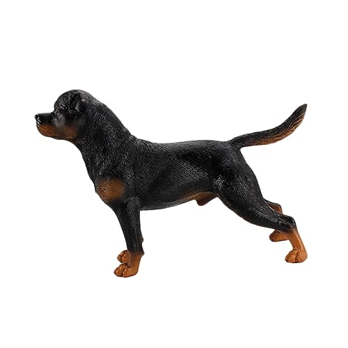 ORFOFE Simulation Hundemodell aus Kunststoff Rottweiler Dekoration Realistische Gestaltung für Pädagogisches zur Naturerkennung und Kinderspielzeug von ORFOFE