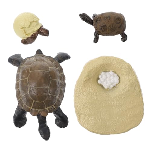 ORFOFE Simulation Lebenszyklus Modell Schildkröte Lernspielzeug für Frühpädagogik Naturwissenschaft Lebensechte Schildkröten Wachstumszyklus Figuren zur Wissensvermittlung von ORFOFE