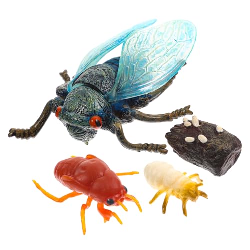 ORFOFE Simulation Zikaden Wachstumszyklus Modell für Plastisches Lernspielzeug zur Kreativität und Naturerfahrung Pädagogisches Insekten Evolutionsspielzeug für Spielzimmer ORFOFE Simulation Zikaden Wachstumszyklus Modell für Plastisches Lernspielzeug zur Kreativität und Naturerfahrung Pädagogisches Insekten Evolutionsspielzeug für Spielzimmer von ORFOFE