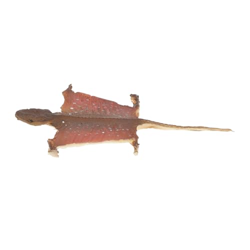 ORFOFE Spukdekor Und Simuliertes Innendisplay Detail – &Amp; Streichhaus Reptilienparty Gecko Fotografie Simulation Mit Layout Heimtrick Halloween Requisite Für Figur Kunststoff von ORFOFE