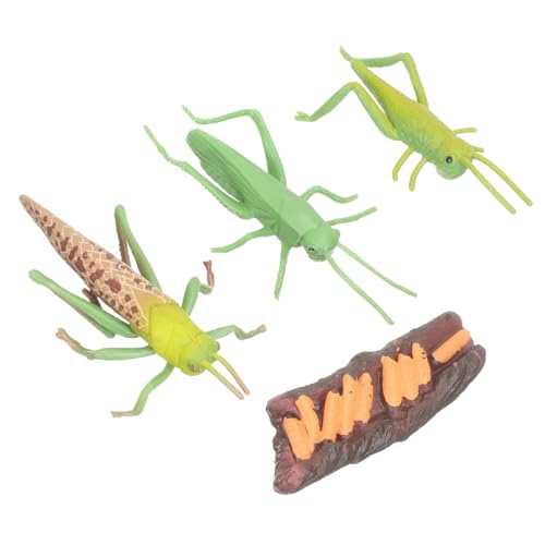 ORFOFE Tierfiguren Lebenszyklus Modell Montessori inspiriert Realistische Insekten Kognition für Lernset für Frühe Bildung und Naturerkundung von ORFOFE