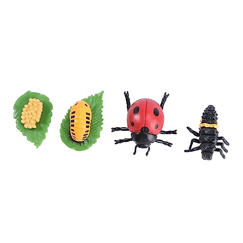 ORFOFE Tiermodell Marienkäfer Lebenszyklus Simulation Lernspielzeug für Junge Mädchen Langlebige Insekten Figur Kreative Naturwissenschaft Deko und zur Bildung ORFOFE Tiermodell Marienkäfer Lebenszyklus Simulation Lernspielzeug für Junge Mädchen Langlebige Insekten Figur Kreative Naturwissenschaft Deko und zur Bildung von ORFOFE