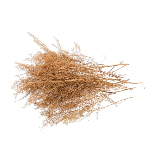 OSALADI 1 Schachtel Dorniges Quinoa -Modellmaterial Zuglandschaft Gras kleine Grasbüschel Modelleisenbahn-Landschaftsbau Modelleisenbahn Gras sandtisch DIY Modell Sandtischgras-Modell Holz von OSALADI