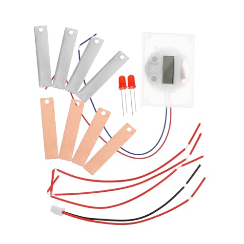OSALADI 2Sätze DIY Fruchtbatterie Experimentierkasten Für Digitaluhr Und Zubehör Für Physik Experimente Bildungsspielzeug Für Kreative Experimente Zu Hause von OSALADI