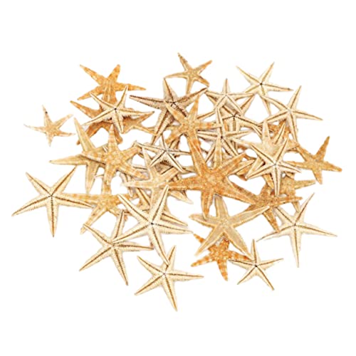 OSOLADY 1 Schachtel Mini Seestern Dekoration Micro Rhinestone Skulptur für DIY Kunsthandwerk Beige für Heimdekoration Mini Landschaft und Aquarium Zubehör von OSOLADY