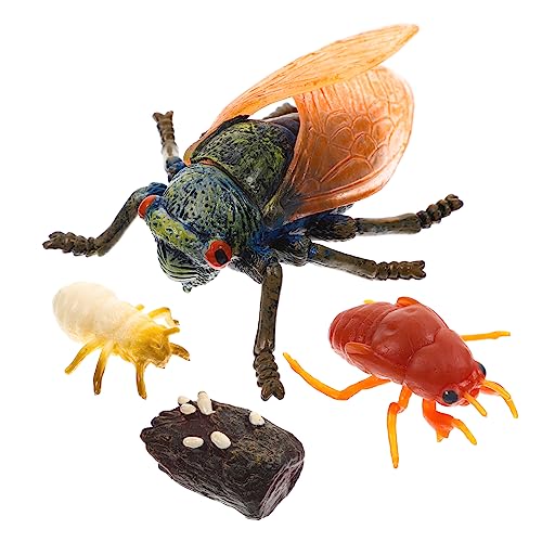 OSOLADY 1Satz Simulation Cicada Wachstumszyklus Modellset Lehrreiches Kinderspielzeug für Dekoration und Unterrichtszwecke Tragbar und Robust für Kreatives Lernen von OSOLADY