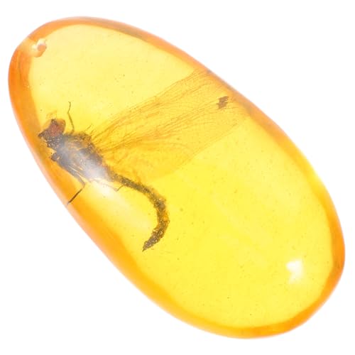 OSOLADY Insektenstein-exemplar Realistisches Insektenornament Aus Kunstharz Für Einzigartige Heimdekoration Und Sammlerstück OSOLADY Insektenstein-exemplar Realistisches Insektenornament Aus Kunstharz Für Einzigartige Heimdekoration Und Sammlerstück von OSOLADY