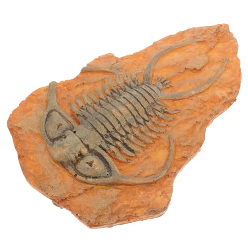 OSOLADY Insekt lehren Fossilien-Insekten Insekten-Sammlung Paläontologische Insekten Wissenschaftliche Fossilien deko Insektenexemplar für den Unterricht paläontologisches Insekt Harz OSOLADY Insekt lehren Fossilien-Insekten Insekten-Sammlung Paläontologische Insekten Wissenschaftliche Fossilien deko Insektenexemplar für den Unterricht paläontologisches Insekt Harz von OSOLADY