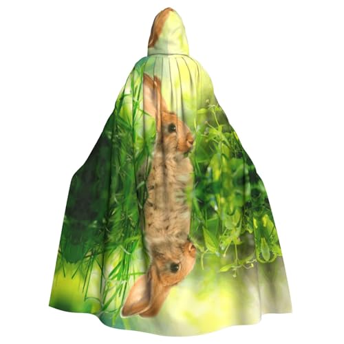 OTTKGGA Osterhase isst Kapuzenumhang Zauberer Umhang Sensenmann Vampir Party Halloween Erwachsene Cosplay Bühne Kostüme OTTKGGA Osterhase isst Kapuzenumhang Zauberer Umhang Sensenmann Vampir Party Halloween Erwachsene Cosplay Bühne Kostüme von OTTKGGA