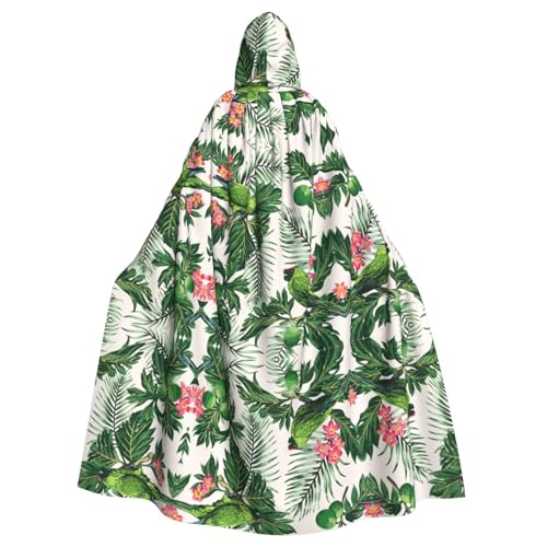 OTTKGGA Papageien-Umhang mit Kapuze für Paare, Olivgrün, Zauberer-Umhang, Sensenmann, Vampir-Party, Halloween, Erwachsene, Cosplay, Bühnenkostüme OTTKGGA Papageien-Umhang mit Kapuze für Paare, Olivgrün, Zauberer-Umhang, Sensenmann, Vampir-Party, Halloween, Erwachsene, Cosplay, Bühnenkostüme von OTTKGGA