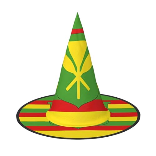Halloween-Hexenhut mit Hawaii-Flagge, bequem und langlebig, geeignet für Partys, Rollenspiele und Karneval, 3 Stück Halloween-Hexenhut mit Hawaii-Flagge, bequem und langlebig, geeignet für Partys, Rollenspiele und Karneval, 3 Stück von OUInbvv