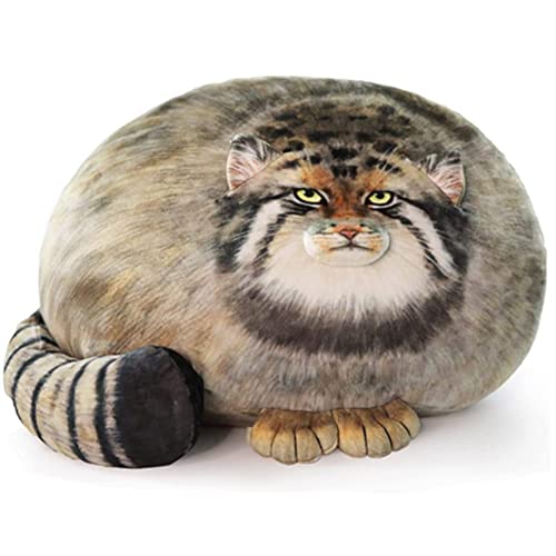 OUKEYI 40 cm großes Katzen-Plüsch-Kissen, niedliche Steppe-Katze, gefüllte Tiere, dicke Katze, Kawaii-Kissen, Kätzchen, Plüschkissen, Puppe, großes Plüschspielzeug, Jungen, Freundin OUKEYI 40 cm großes Katzen-Plüsch-Kissen, niedliche Steppe-Katze, gefüllte Tiere, dicke Katze, Kawaii-Kissen, Kätzchen, Plüschkissen, Puppe, großes Plüschspielzeug, Jungen, Freundin von OUKEYI