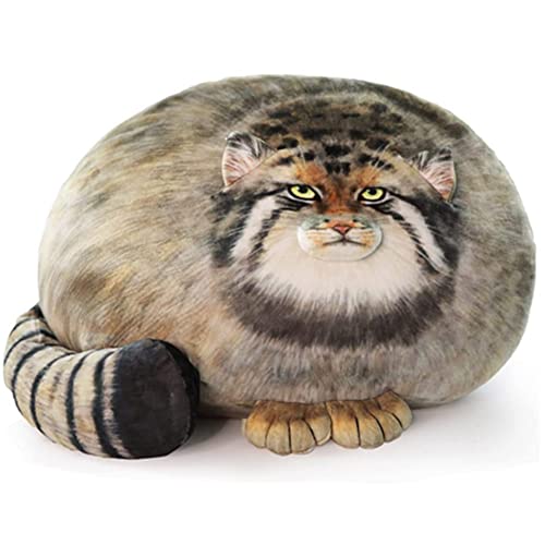 OUKEYI 40 cm großes Katzen-Plüsch-Kissen, niedliche Steppe-Katze, gefüllte Tiere, dicke Katze, Kawaii-Kissen, Kätzchen, Plüschkissen, Puppe, großes Plüschspielzeug, Jungen, Freundin von OUKEYI