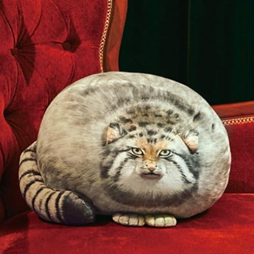 OUKEYI 45 cm gefülltes Steppenkatzen-Kissen, süßes Steppenkatzen-Stofftier, Kawaii Plüschkissen für Mädchen, Jungen, Freundinnen OUKEYI 45 cm gefülltes Steppenkatzen-Kissen, süßes Steppenkatzen-Stofftier, Kawaii Plüschkissen für Mädchen, Jungen, Freundinnen von OUKEYI