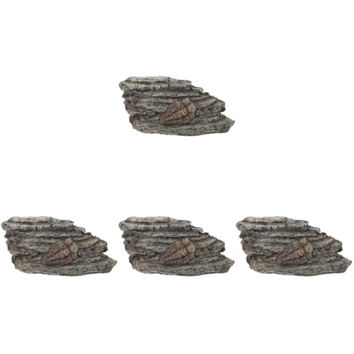 4 Stück Fossiles Exemplar Mit Haube Gecko Aquarium Treibholz Für Aquarien Reptil Im Freien Schildkröte Trilobiten-exemplardekoration Paläontologisches Trilobitendekor Harz OUNONA von OUNONA
