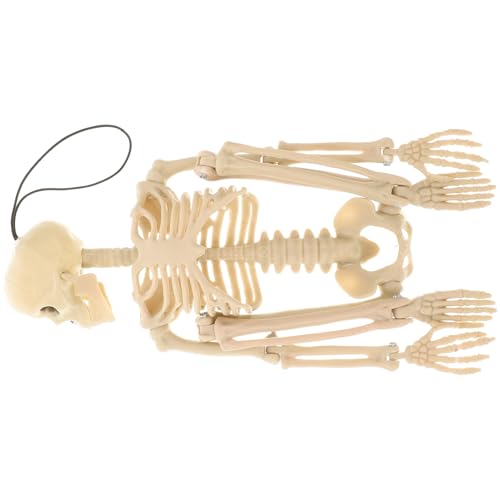 OUNONA 1stk Halloween-skelett Halloween-hintergrund Gothic Halloween Menschliche Skelette Figuren Skelettmodell Animatronik Halloween-süßigkeitenschale Maske Weiß Plastik OUNONA 1stk Halloween-skelett Halloween-hintergrund Gothic Halloween Menschliche Skelette Figuren Skelettmodell Animatronik Halloween-süßigkeitenschale Maske Weiß Plastik von OUNONA
