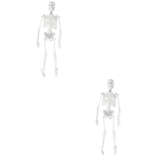 OUNONA 2St menschliches Skelettmodell unterrichtsmaterial beige Medizinisches Zubehör Statue des menschlichen Skeletts Anatomisches Studienmodell Modelle menschlicher Körper Ausrüstung von OUNONA