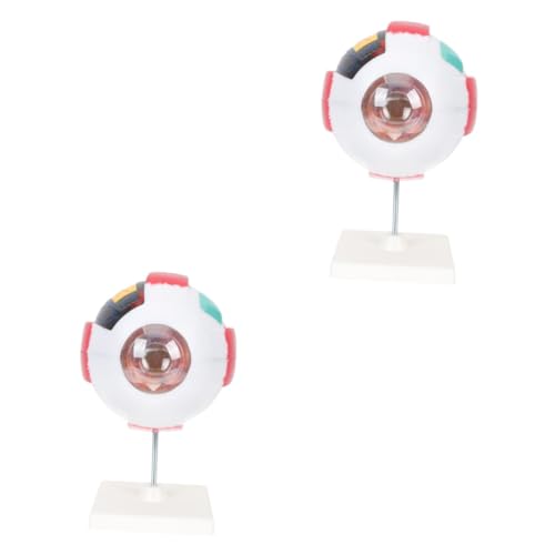 OUNONA 2St menschliches auge modell Augenmodell Anatomiemodell Modelle Augapfelfigur Modell des menschlichen Körpers Herzmodell Lehrhilfe Anatomisches Augapfelmodell Augapfel-Modell PVC OUNONA 2St menschliches auge modell Augenmodell Anatomiemodell Modelle Augapfelfigur Modell des menschlichen Körpers Herzmodell Lehrhilfe Anatomisches Augapfelmodell Augapfel-Modell PVC von OUNONA