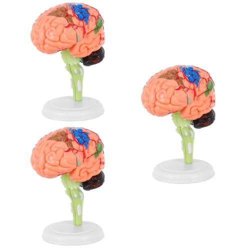 OUNONA 3 Stk Experimentelle Lehrmedizin menschlich Plasmakugel Puzzle Neurowissenschaften Luft Torso molekular schulsachen schulzeug anatomisches Modell Gehirnmodell der Menschheit PVC OUNONA 3 Stk Experimentelle Lehrmedizin menschlich Plasmakugel Puzzle Neurowissenschaften Luft Torso molekular schulsachen schulzeug anatomisches Modell Gehirnmodell der Menschheit PVC von OUNONA