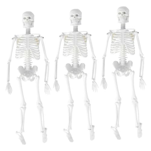 OUNONA 3St Statue des menschlichen Skeletts menschliches Skelett Anatomiemodell unterrichtsmaterial beige Modelle Anatomisches Studienmodell menschlicher Körper Schulmaterial von OUNONA