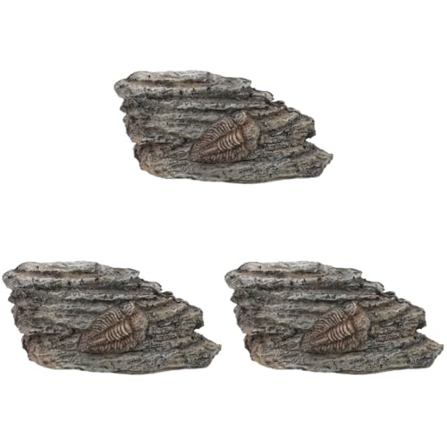 OUNONA 3St fossiles Exemplar Treibholz für Aquarien im Freien Reptil Gecko Schildkröte sammeltassen Trilobit als Exemplar paläontologisches Trilobitenexemplar Trilobit-Dekoration Harz von OUNONA