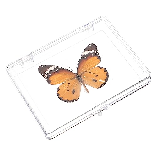 OUNONA 5st Schmetterlings-exemplar Tischständer Exemplar Anhänger Schmetterlingsprobe Wanddekoration Unterrichtsproben Für Die Naturwissenschaften Ornament Kind Plastik Souvenir Verpackt von OUNONA