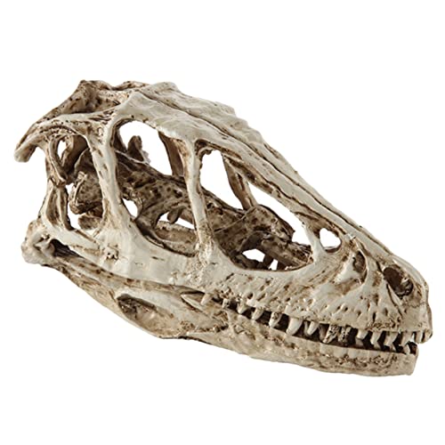 OUNONA Dinosaurier-schädel-modell Kuhschädel Schädelverzierung Skelette Studie Wolf Puzzle Halloween-skelett Bausatz Fuchs Modell Der Schädelanatomie Gräten Reh Weiß Harz OUNONA Dinosaurier-schädel-modell Kuhschädel Schädelverzierung Skelette Studie Wolf Puzzle Halloween-skelett Bausatz Fuchs Modell Der Schädelanatomie Gräten Reh Weiß Harz von OUNONA