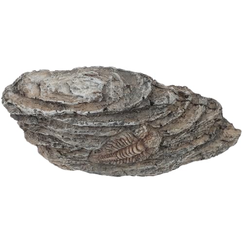 OUNONA Exquisites Trilobiten-exemplar Aus Harz Paläontologisches Ornament Wohnkultur Für Die Sammlung von OUNONA