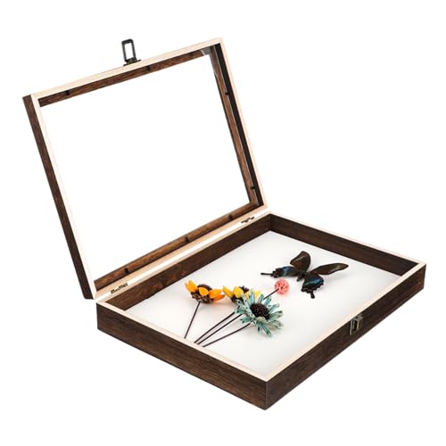 OUNONA Kasten Muster Vitrine Pin Vitrine Stift Sammlung Vitrine Rahmen Präsentationsbox für Insektenpräparate Sammlerbox für Insekten gehäuse Probenbehälter Musterkoffer hölzern OUNONA Kasten Muster Vitrine Pin Vitrine Stift Sammlung Vitrine Rahmen Präsentationsbox für Insektenpräparate Sammlerbox für Insekten gehäuse Probenbehälter Musterkoffer hölzern von OUNONA