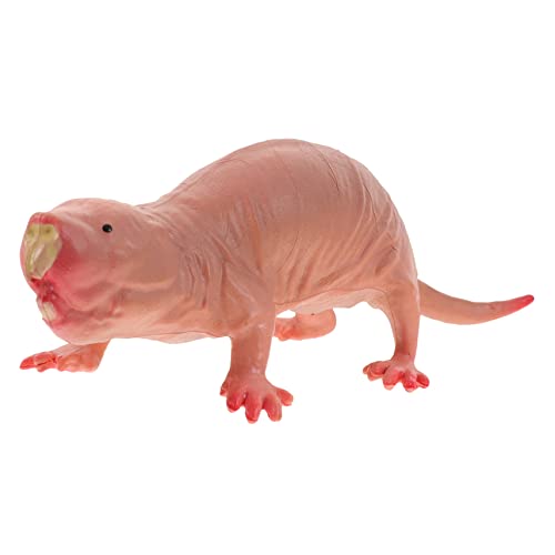 OUNONA Tischfigur Nacktmull Dekorative Tierfigur für Realistische Tiermodellierung Perfektes für Zuhause Garten und Büro OUNONA Tischfigur Nacktmull Dekorative Tierfigur für Realistische Tiermodellierung Perfektes für Zuhause Garten und Büro von OUNONA