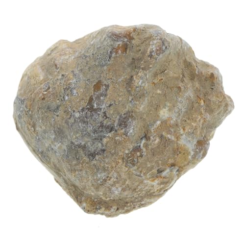 OUNONA fossiles Exemplar Sand Rock Tumbler für Dinosaurier-Ausgrabungsset Wissenschafts-Kit Dinosaurier-Eier für toys dekoring Lehrmittel modell von OUNONA