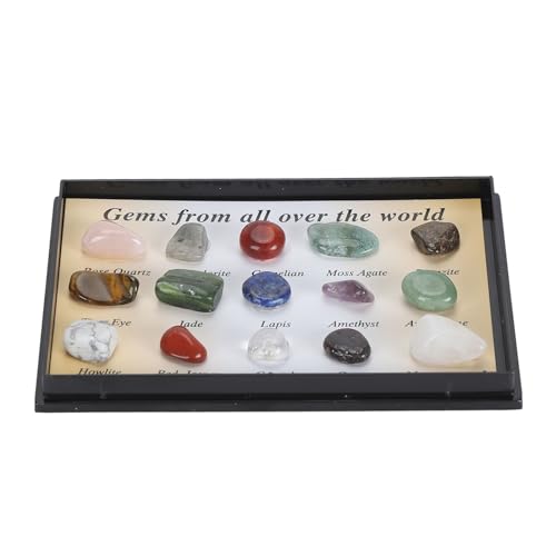 OVAQUIXI Minerals Educational Science Kit Dekorative für 5 Jahre Alt und Höher mit 15 Felsen in Aufbewahrungsbox (Typ 3) von OVAQUIXI
