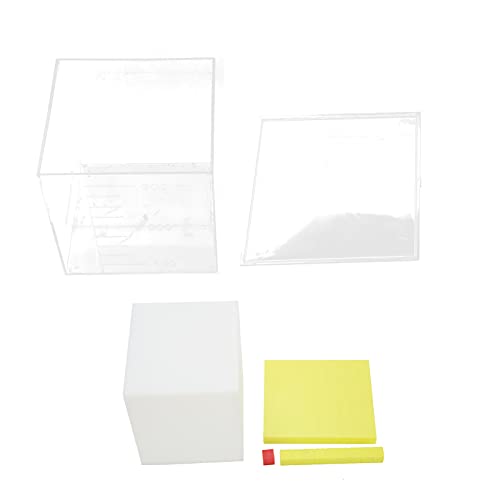 OVAQUIXI Quadratzählblöcke Eingestellt, Farbenfrohe Würfelblöcke für Geometrieunterricht, Volumenberechnung Spielzeug für, Kunststoffmaterial mit Aufbewahrungsbox OVAQUIXI Quadratzählblöcke Eingestellt, Farbenfrohe Würfelblöcke für Geometrieunterricht, Volumenberechnung Spielzeug für, Kunststoffmaterial mit Aufbewahrungsbox von OVAQUIXI
