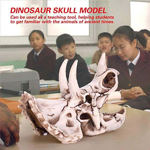 OVAQUIXI Triceratops Schädelmodell Hochsimuliert Skelett Bildungsinstrument für Alte Tierbegeisterte von OVAQUIXI
