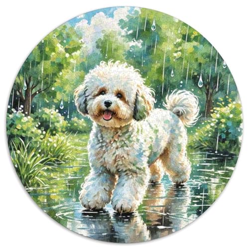 1000 TeileStressabbau Spielzeug Für Circular Puzzles Haustier HundPuzzle Erwachsene Und Kinder1000pcs (67.5x67.5cm) von OWBASKPOZ