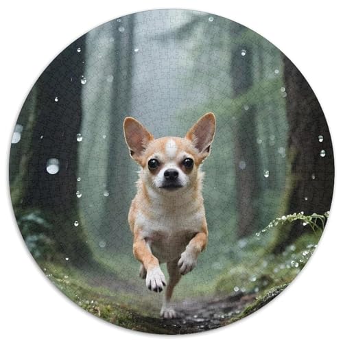 Chihuahua1000 Teile, PuzzleErwachsenenKinder Haustier HundabPuzzlesJigsawGeschenki1000pcs (67.5x67.5cm) von OWBASKPOZ