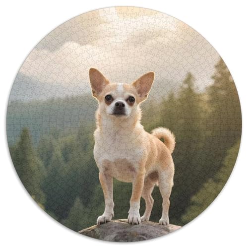 Chihuahua1000 Teile Puzzle PuzzlegRundesHaustier Hundfür Erwachsene Und Kinderab1000pcs (67.5x67.5cm) von OWBASKPOZ