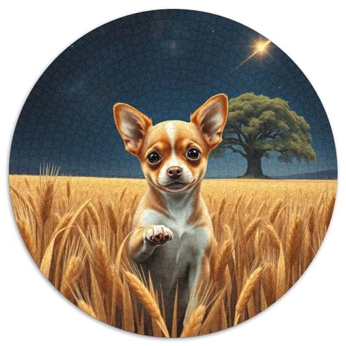 Chihuahua1000 Teile Puzzle PuzzlesErwachsen Erwachsene GeschenkideenpieleHaustier Hund Für Familie1000pcs (67.5x67.5cm) von OWBASKPOZ