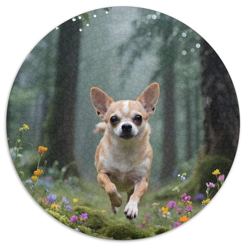 Chihuahua1000 Teile PuzzlesHaustier Hund Jigsaw ErwachsenenKinder AbGeschenki1000pcs (67.5x67.5cm) von OWBASKPOZ