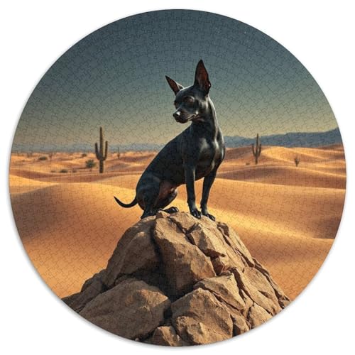 Chihuahua1000 TeilePuzzleRundesfürErwachsene UndKinder AbPuzzleg Haustier Hundnspruchsvoll1000pcs (67.5x67.5cm) von OWBASKPOZ