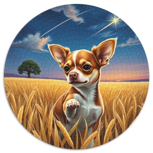 ChihuahuaJigsaw 1000 Teile Für Erwachsene Und Kinder, Puzzle 1000 Teile Puzzles Haustier HundGameGeschenk,1000pcs (67.5x67.5cm) von OWBASKPOZ