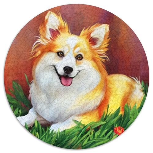 Corgi1000 Teile Puzzle Für ErwachseneKinderHaustierhund AbPuzzlesGeschenk, Hobby1000pcs (67.5x67.5cm) von OWBASKPOZ