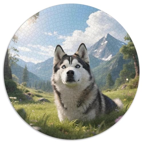 Huskies1000 Circular Puzzle Schwieriges PuzzleStressabbau-SpielzeugHaustier Hund Für Erwachsene Kinder1000pcs (67.5x67.5cm) von OWBASKPOZ