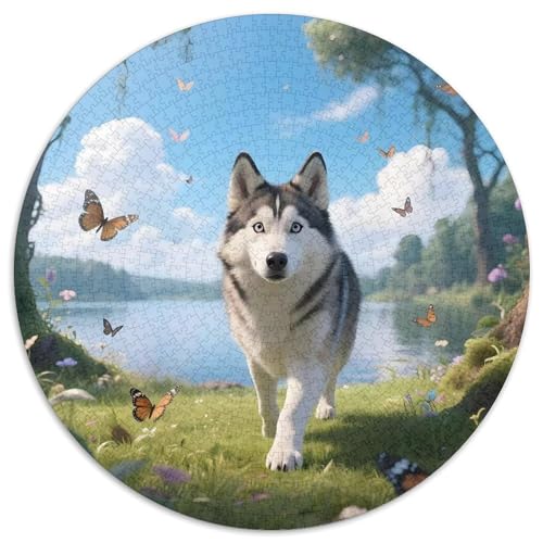 Huskies1000 TeilePuzzle Für Erwachsene Und Kinder Rundes Puzzles Haustier HundPuzzel Game Geschenk1000pcs (67.5x67.5cm) von OWBASKPOZ
