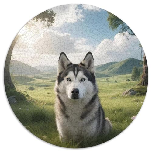 HuskiesJigsaw 1000 Teile Puzzles Puzzle Für Erwachsene Kinder Haustier HundLernspiel Herausforderungsspielzeug1000pcs (67.5x67.5cm) von OWBASKPOZ